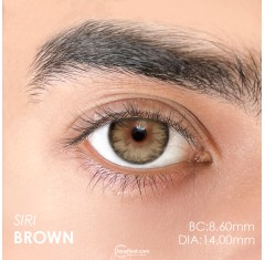 Euphoria Lens Siri Brown (1 Yıllık)