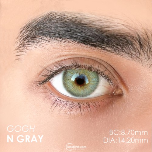 Euphoria Lens Gogh N Gray (1 Yıllık)
