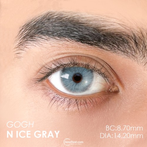Euphoria Lens Gogh N ice Gray (1 Yıllık)