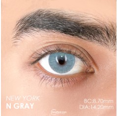 Euphoria Lens New York N Gray (1 Yıllık)