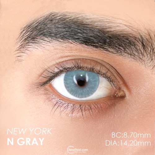 Euphoria Lens New York N Gray (1 Yıllık)
