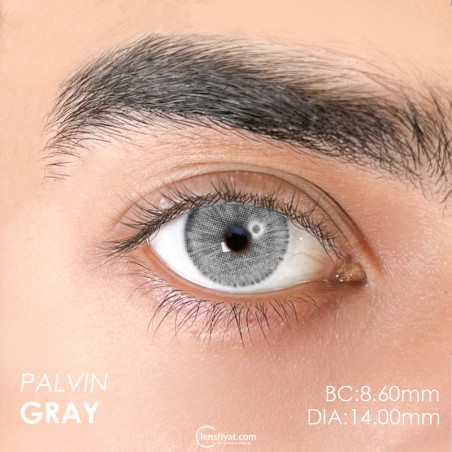 Euphoria Lens Palvin Gray (1 Yıllık) görseli