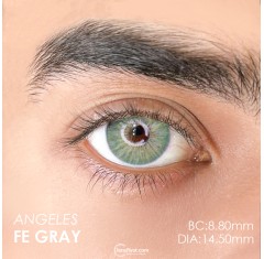Euphoria Lens Angeles Fe Gray (1 Yıllık)