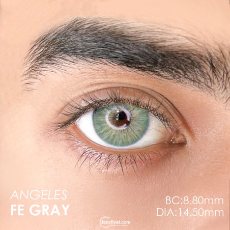 Euphoria Lens Angeles Fe Gray (1 Yıllık) görseli