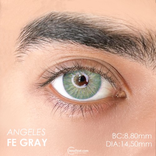 Euphoria Lens Angeles Fe Gray (1 Yıllık)