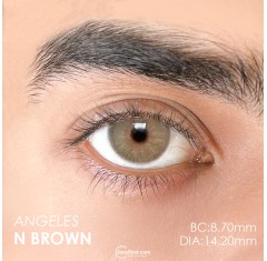 Euphoria Lens Angeles N Brown (1 Yıllık)