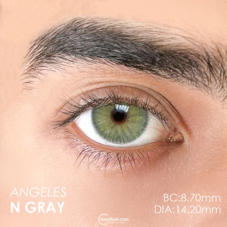 Euphoria Lens Angeles N Gray (1 Yıllık) görseli