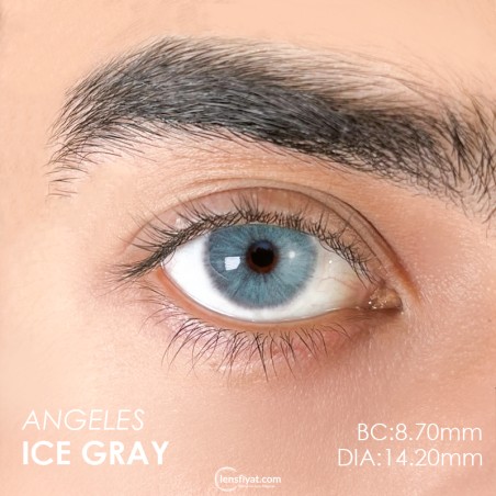 Euphoria Lens Angeles N ice Gray (1 Yıllık) görseli