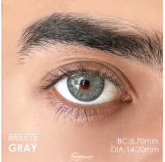 Euphoria Lens Breeze Gray (1 Yıllık)