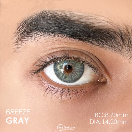 Euphoria Lens Breeze Gray (1 Yıllık) görseli