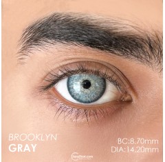 Euphoria Lens Brooklyn Gray (1 Yıllık)