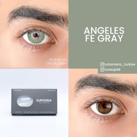 Euphoria Lens Angeles Fe Gray (1 Yıllık) görseli
