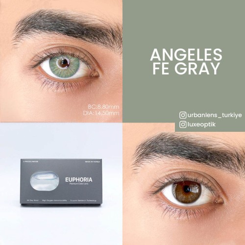 Euphoria Lens Angeles Fe Gray (1 Yıllık)