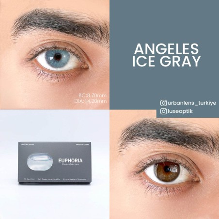 Euphoria Lens Angeles N ice Gray (1 Yıllık) görseli