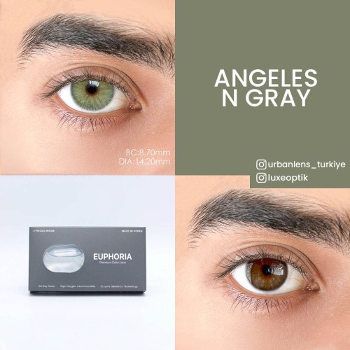 Euphoria Lens Angeles N Gray (1 Yıllık)