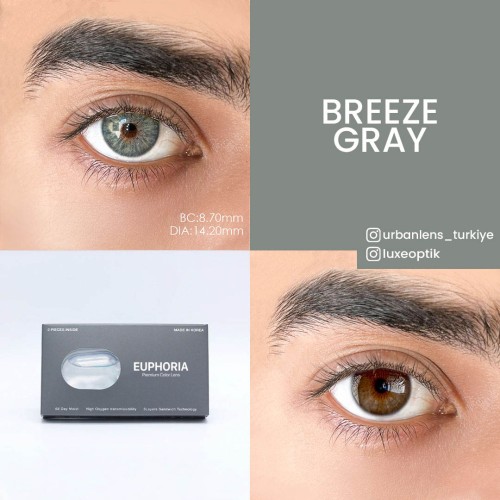 Euphoria Lens Breeze Gray (1 Yıllık)