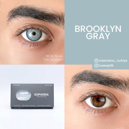Euphoria Lens Brooklyn Gray (1 Yıllık) görseli