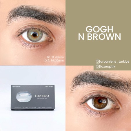 Euphoria Lens Gogh N Brown (1 Yıllık) görseli