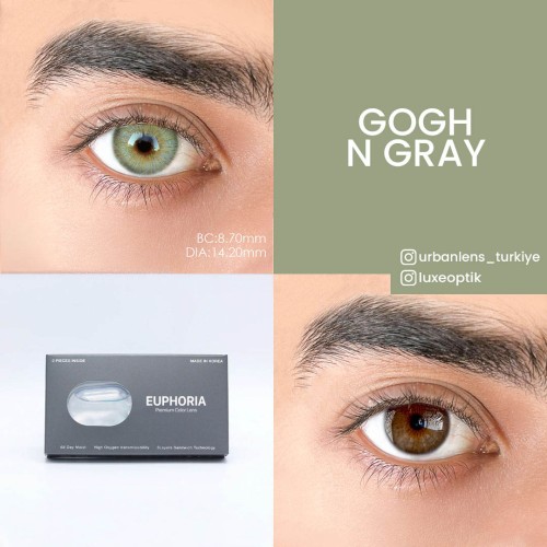 Euphoria Lens Gogh N Gray (1 Yıllık)