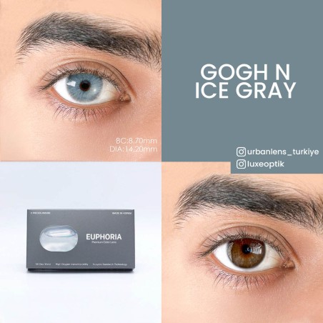 Euphoria Lens Gogh N ice Gray (1 Yıllık) görseli