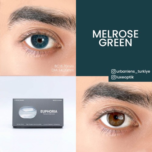 Euphoria Lens Melrose Gray (1 Yıllık)