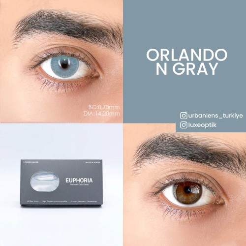 Euphoria Lens New York N Gray (1 Yıllık)