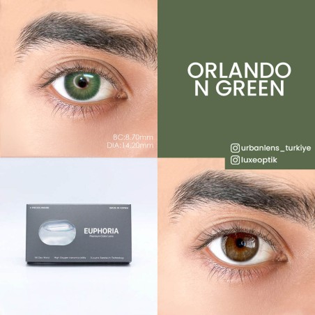 Euphoria Lens New York N Green (1 Yıllık) görseli