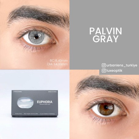 Euphoria Lens Palvin Gray (1 Yıllık) görseli