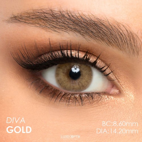 Victoria Diva Gold Ela Renk (1 Yıllık) 